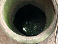 -老幺泉水鸡