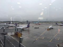 -谢列梅捷沃国际机场