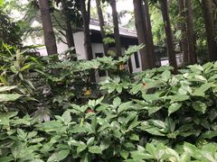-汇龙潭
