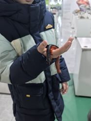 -神奇动物撸宠馆·羊驼·小浣熊·异宠(豫园店)