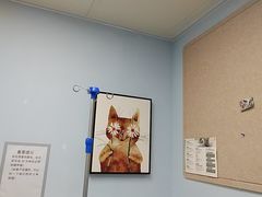 -纳吉亚猫专科动物诊疗中心(蒋宅口分院)