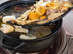 -蘑统田下·野生菌火锅