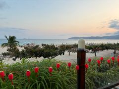 -渔家火锅·海鲜自助餐·演艺(亚龙湾天域酒店)