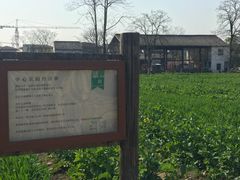 -田园东方蜜桃村的田野营地