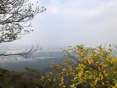 -紫金山索道-售票处