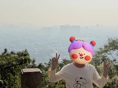 -灵岩山风景区