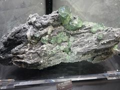 -甘肃地质博物馆