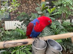 -南宫五洲植物乐园