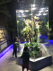 -未来动物城主题公园(正弘城店)