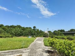 -桤木河湿地公园