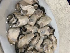 -濠轩阁特色生蚝火锅(水湾路店)