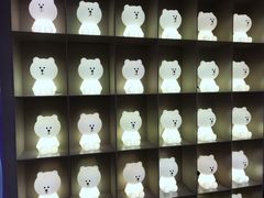 -line friends(明洞旗舰店)