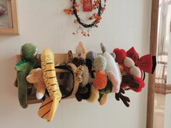 -Catmate·猫肥家润(金润铂宫店)