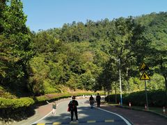 -火炉山森林公园
