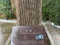 -南山植物园