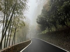 -莫干山风景区