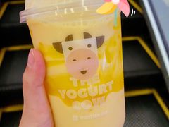 -一只酸奶牛(曲江龙湖星悦荟店)