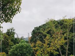 -北仑森林植物园