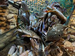 -领鲜活海鲜榴莲自助火锅(东门店)