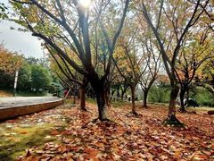 -苏州河梦清园环保主题公园