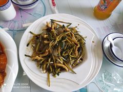 鸡丝拉皮-清真鸿起来饭庄(复兴路店)