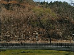 -白水寺森林公园