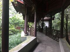 -十八棵（老龙井）御茶园(老龙井店)