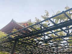 -浅草寺