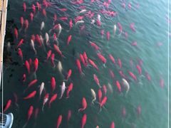 -卧龙湖