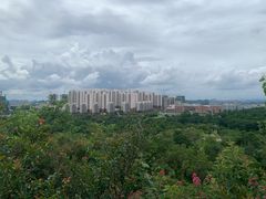 -聚龙山公园