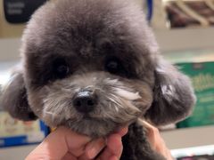 -comecome来吧宠物(奥克斯中心店)