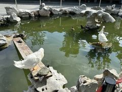 -龙华寺