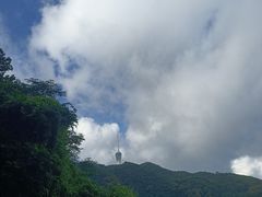 -梧桐山风景名胜区