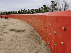 -春花秋色城市公园