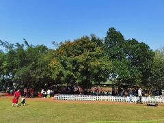 -侯臣咖啡文化村