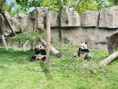 -上海野生动物园