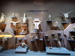 -大庆市博物馆