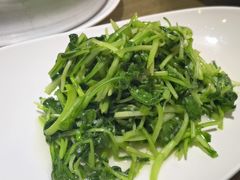 清炒鸡毛菜-隆喜元鱼汤包·海鲜(中联广场店)