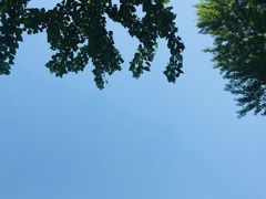 -大连铭湖国际观光牧场