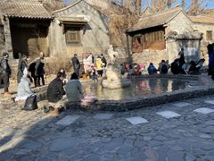 -古北烤梨