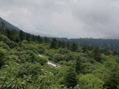 -峨眉山风景名胜区