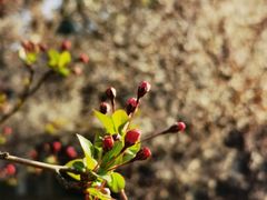 -同济大学(嘉定校区)