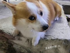 -小梁哥云吞面(黄贝岭店)