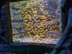 -多彩贵州城极地海洋世界