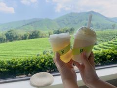 -白茶原·一片叶子