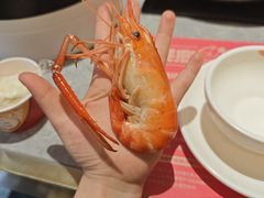 -樱煦和牛寿喜烧(如皋吾悦广场店)