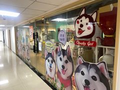 -Husky Go! 哈士奇体验馆·宠物咖啡厅狗咖