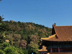 -天下玉苑