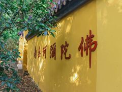 -灵谷景区