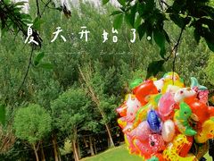 -长白岛森林公园